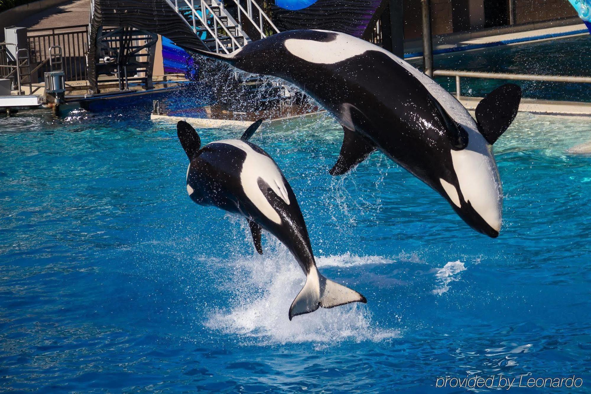ホテル ベストウェスタン プラス キングスランド エクステリア 写真